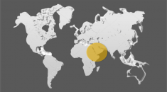 تم فتح مكتبنا القطرودي